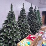Christmas trees and decorations