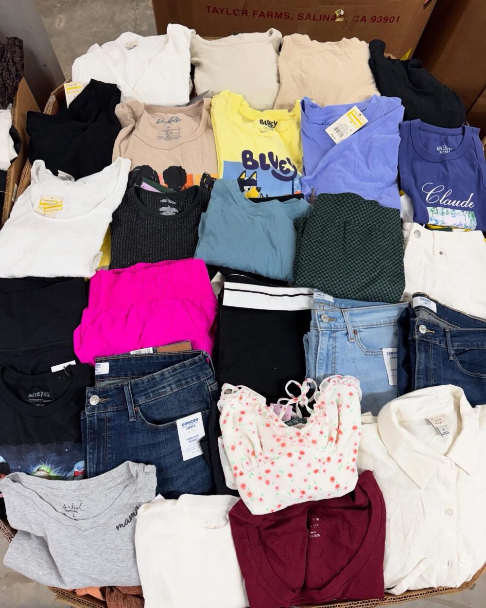 Target Women’s Clothing - Image 6
